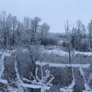 Meet your Posher, Kristin